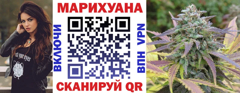 Шишки марихуана конопля  где найти наркотики  Могоча 